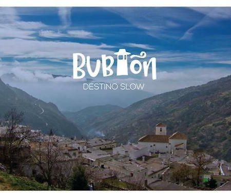 Апартаменты Bubion. Alpujarra Granadina Экстерьер фото